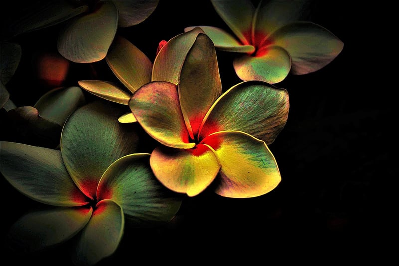 Whispered Insights Image