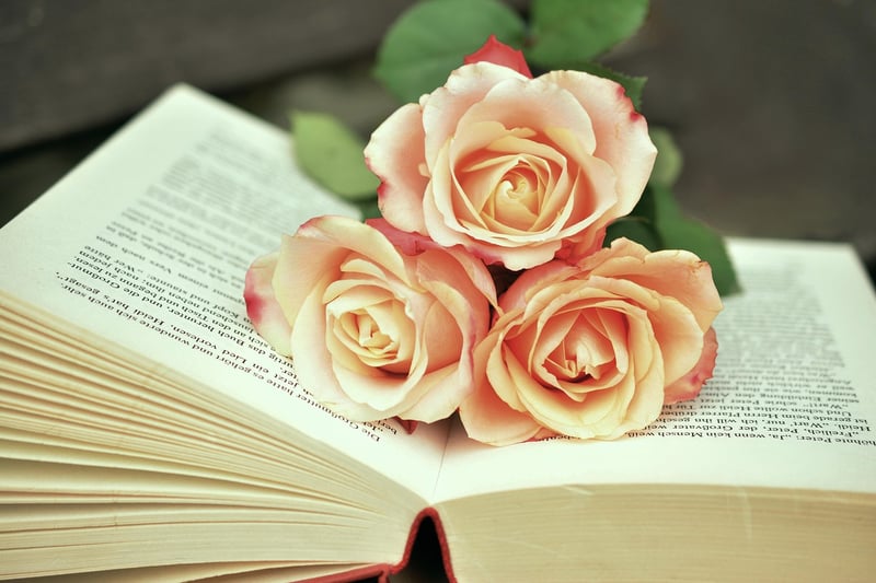Book with mystery theme