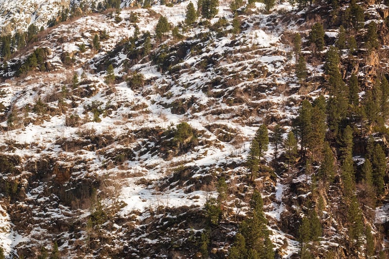 Landscape Image